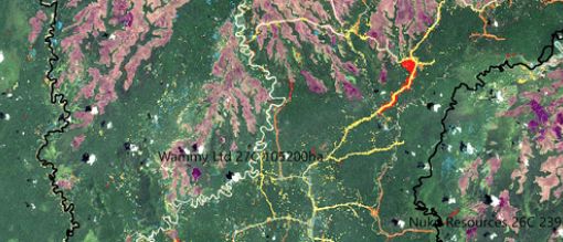 Forest Clearing Authorities used as a front for illegal logging: new report